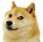 doge